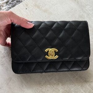 Clutch or Should bag